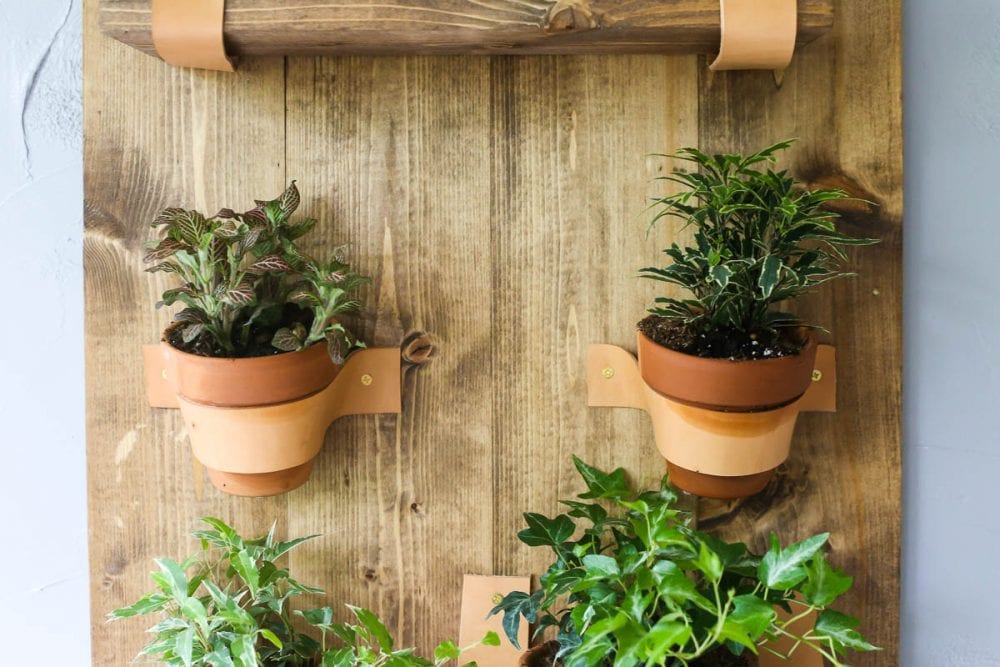 DIY Vertical Wall Planter (An Easy Vertical Planter!) - Love & Renovations