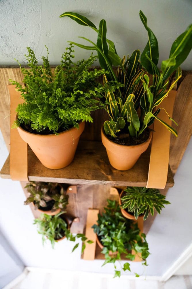 DIY Vertical Wall Planter - Love & Renovations