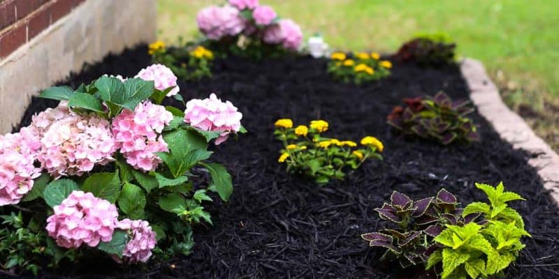 Front Yard Landscaping Ideas: Our Simple Flower Bed Makeover