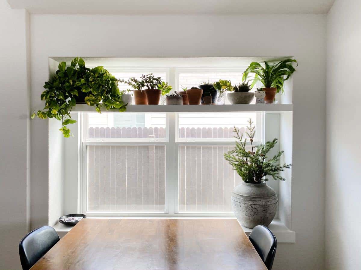 kitchen window plant shelf