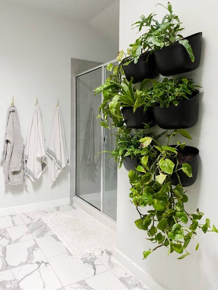 indoor living wall planters