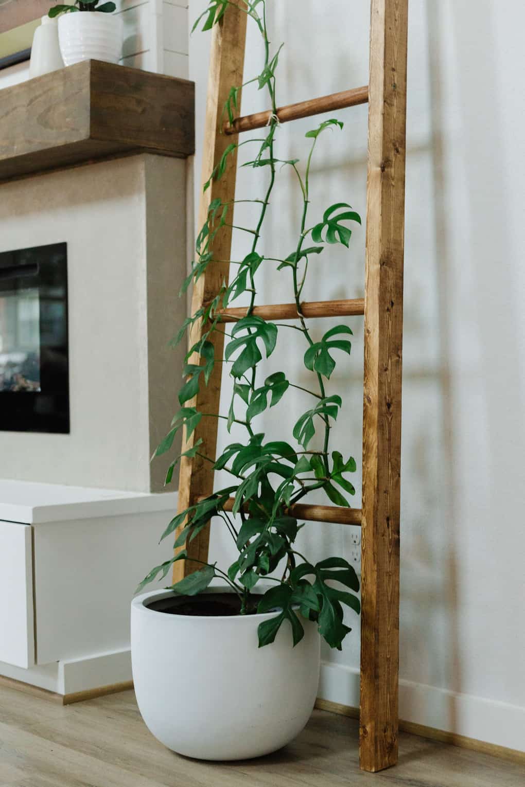 DIY Indoor Plant Trellis {Easy DIY Trellis} Love & Renovations