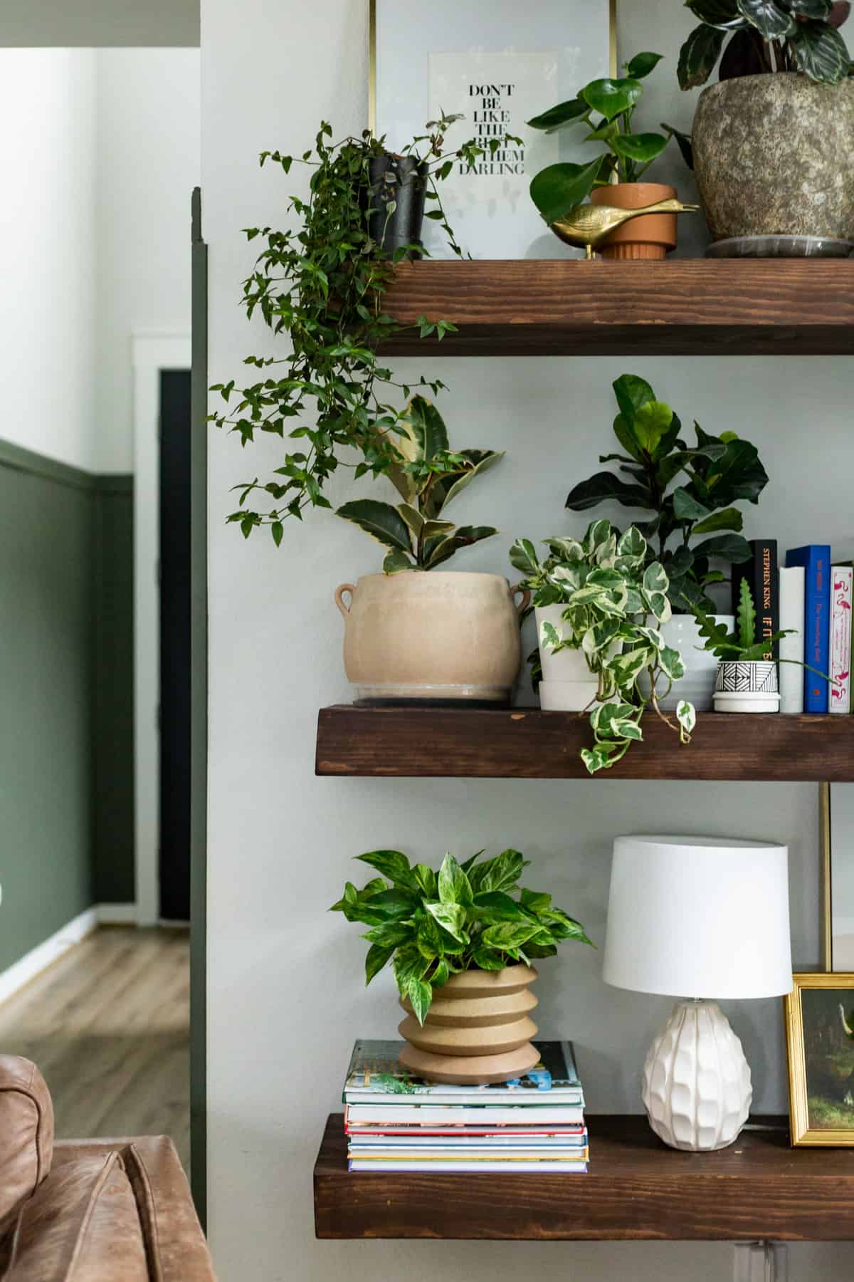 Plant Wall Shelf Ideas {Plant Display Tips!} – Love & Renovations