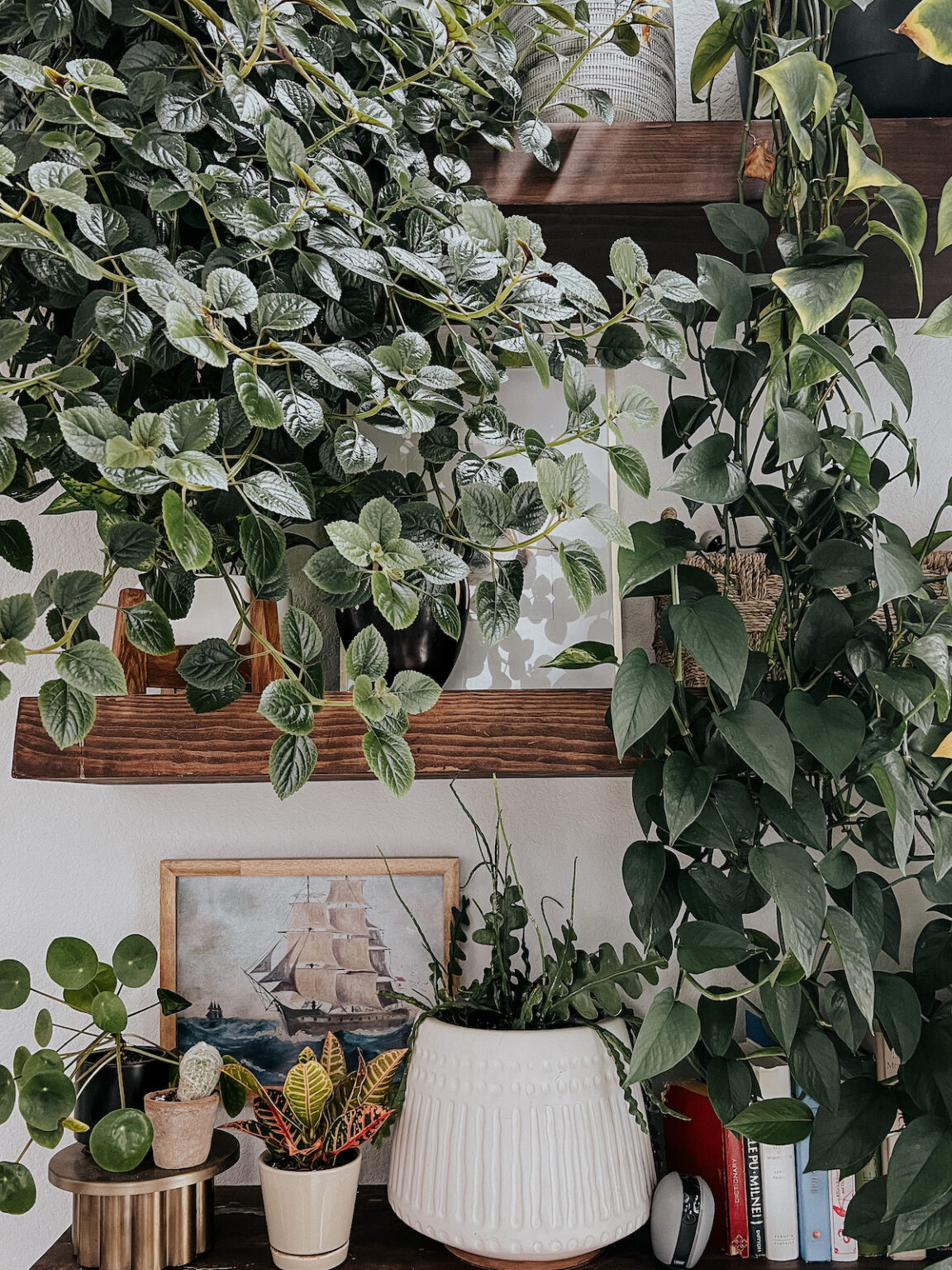 7 Simple + Genius Plant Wall Ideas – Love & Renovations