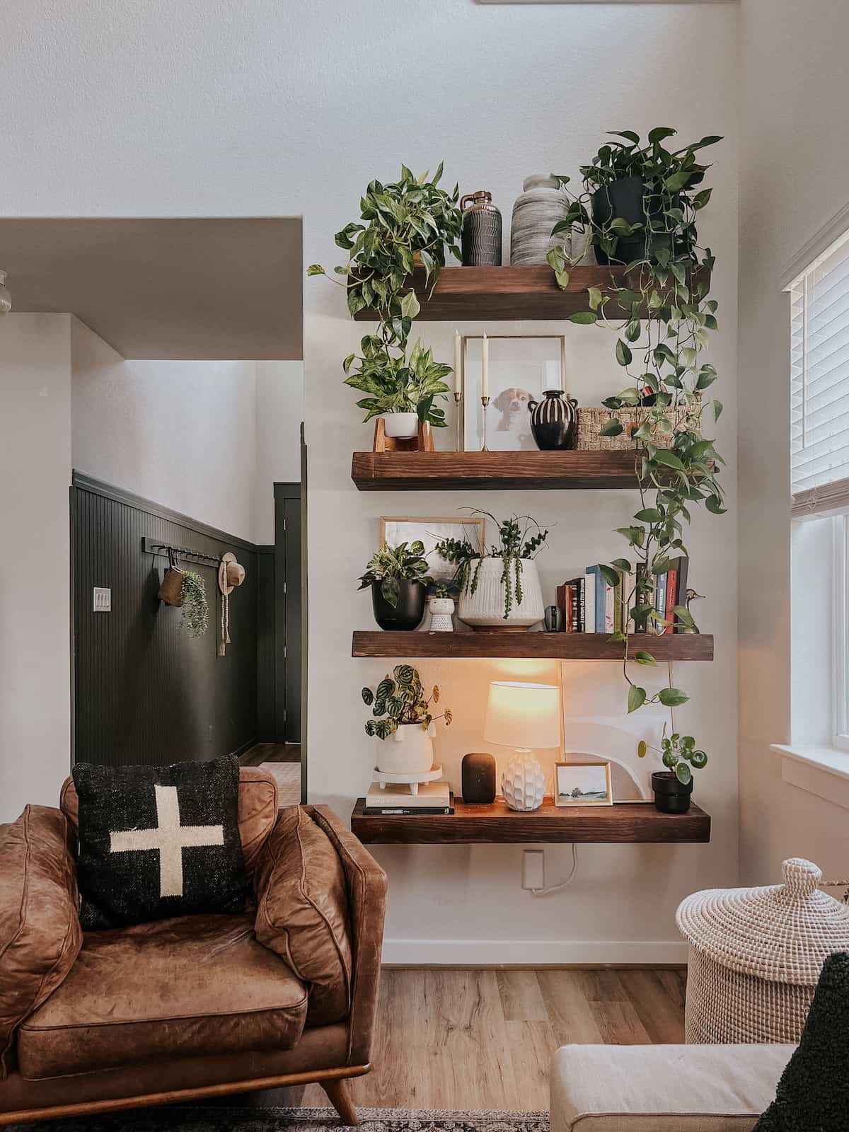 plant shelves in living room