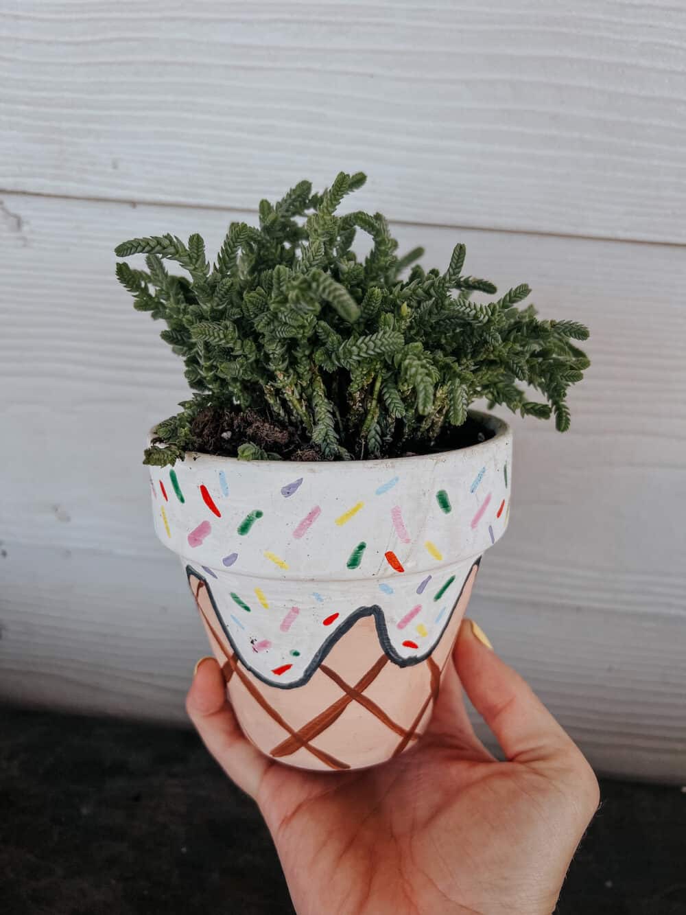 small flower pot painted to look like an ice cream cone