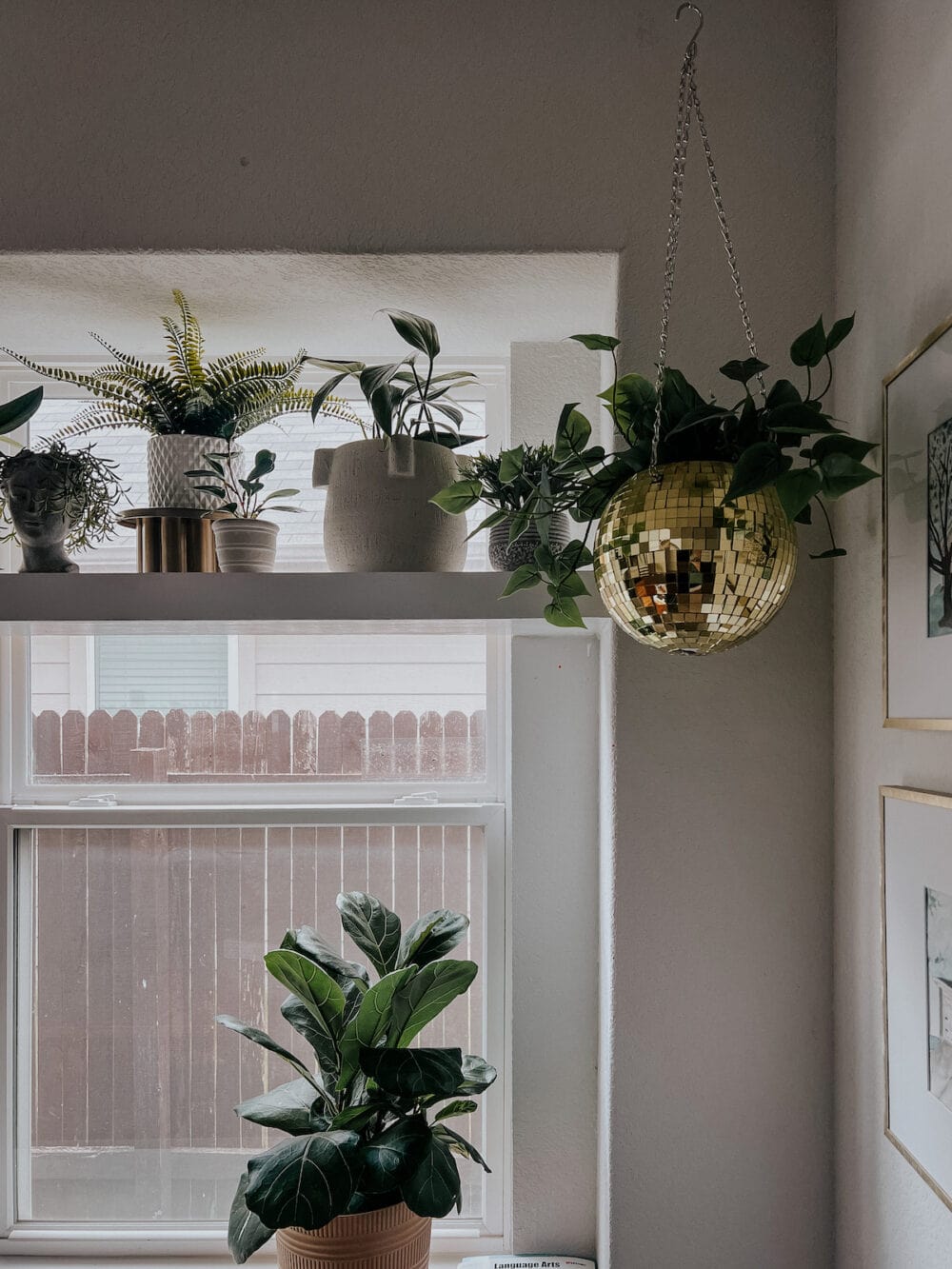 large dining room window with a plant shelf